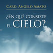 �EN QU� CONSISTE EL CIELO?